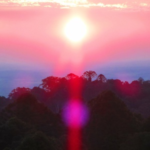 Paradise Valley (CDS)