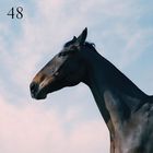 48 (Feat. Jay Prince) (CDS)
