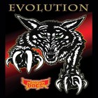 Wild Dogs - Evolution