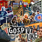 The Gospel Of Luke (CDS)