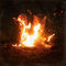 Ben Fuller - Walk Through Fire: Songs From The Smoke