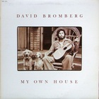 My Own House (Vinyl)