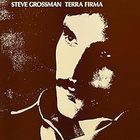 Steve Grossman - Terra Firma