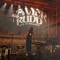 Xavier Rudd - Live In Belgium