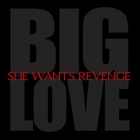 She Wants Revenge - Big Love (CDS)