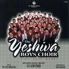 YBC 2: V'ohavta L'reiacha Kamocha