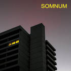Somnum