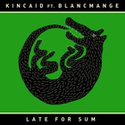 Late For Sum (Feat. Blancmange) (CDS)