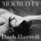 Nick Mulvey - Dark Harvest Pt. 1