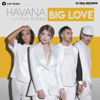 Big Love (Feat. Yaar & Kaiia) (CDS)