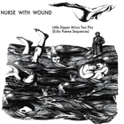 The Little Dipper Minus Two Plus (Echo Poeme Sequences)