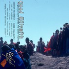 Aquarium Guru Shares The Secret Tactic