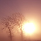 Eternell - Waking Music