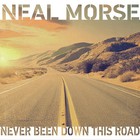 Neal Morse - Never Been Down This Road