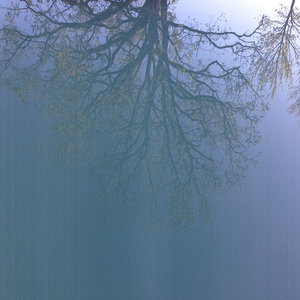 Life Will Set You Free