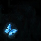 Butterfly (EP)
