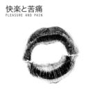 Pleasure And Pain (Feat. Miss Kittin) (EP)