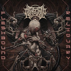 The Zenith Passage - Fleshbound Reliquary (CDS)