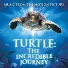 Turtle: The Incredible Journey