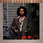 David Sanborn - Promise Me The Moon (Vinyl)
