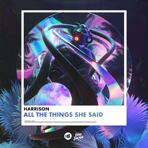 All The Things She Said (CDS)