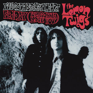 I've Got A Broken Heart (CDS)