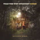 Toad the wet sprocket - Rings: The Acoustic Sessions