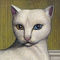 Mitski - Nothing's About To Happen To Me