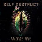 Self Destruct (EP)