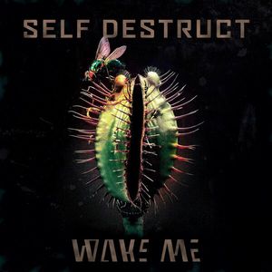 Self Destruct (EP)