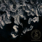 The Womb Of The World