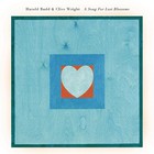 Harold Budd - A Song For Lost Blossoms (With Clive Wright)