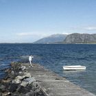 Dermot Kennedy - Let Me In (CDS)