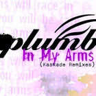 Plumb - In My Arms (Kaskade Remixes) (CDS)