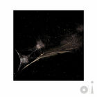 Put The Bucket Down (Bright-Side Mix) (CDS)