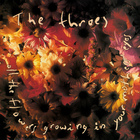 All The Flowers Growing In Your Mother's Eyes