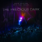 David Helpling - The Precious Dark
