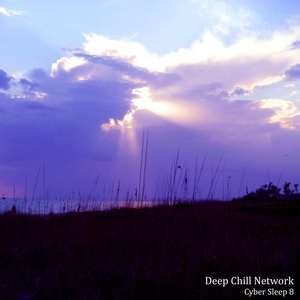 Cyber Sleep 8