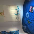 Live In Santa Cruz 2024