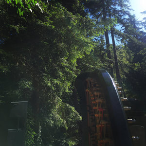 Moon Over Deetjen's (CDS)