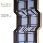 David Grisman - Mandolin Abstractions (With Andy Statman) (Vinyl)