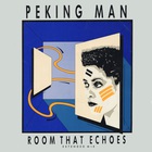 Room That Echoes (VLS)