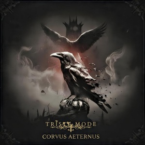 Corvus Aeternus