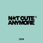 Not Cute Anymore (CDS)