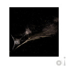 Put The Bucket Down (Dark-Side Mix) (CDS)