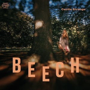 Beech