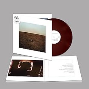 The City Is Coming to Erase It All