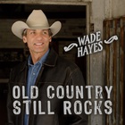 Wade Hayes - Old Country Still Rocks