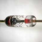 Silicon Scally - Low Memory (EP)