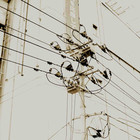 Silicon Scally - Misplaced (EP)